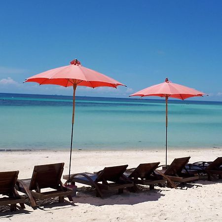 Phangan Cove Beach Resort سورات ثاني المظهر الخارجي الصورة